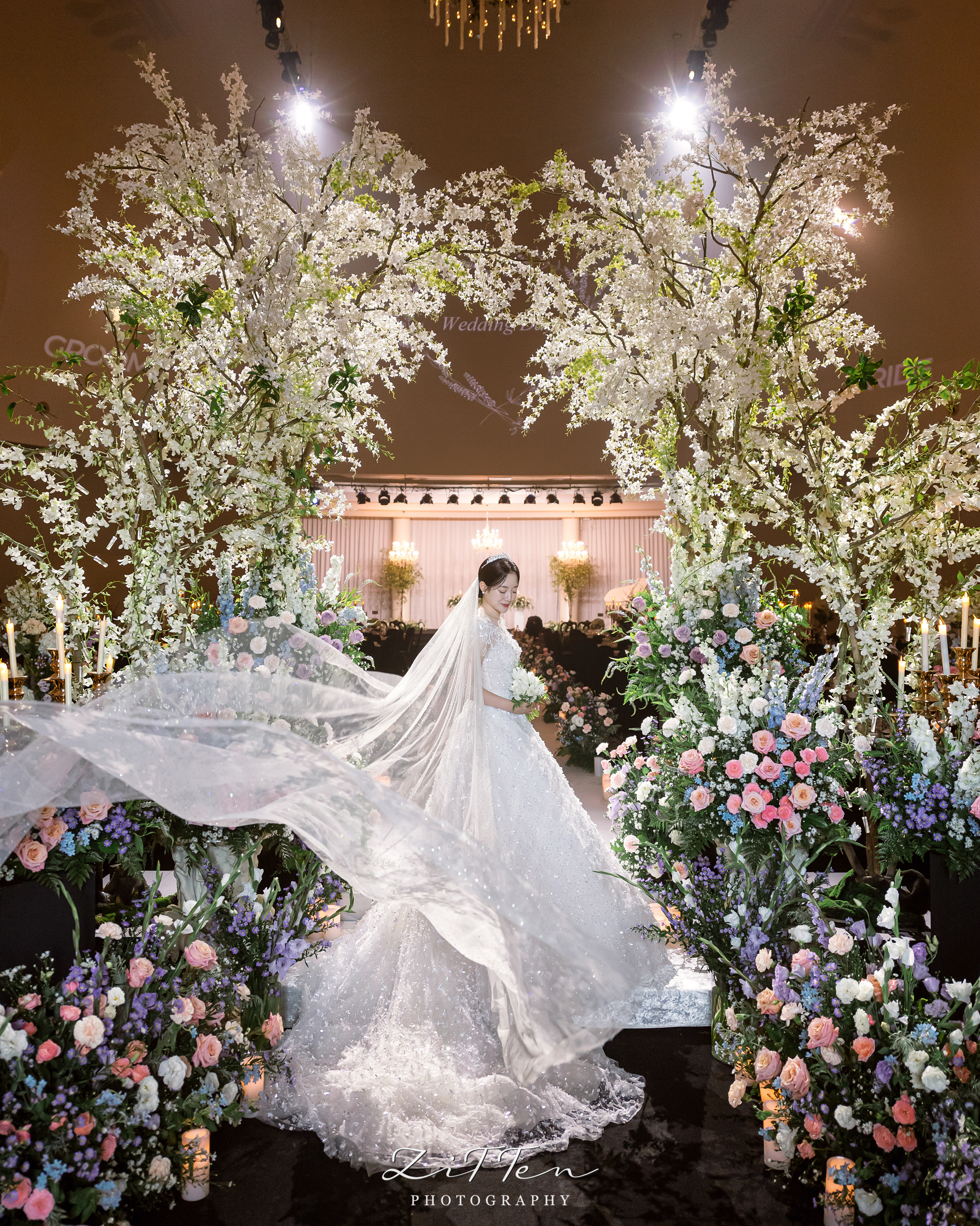 대표작가촬영 (데이터형)